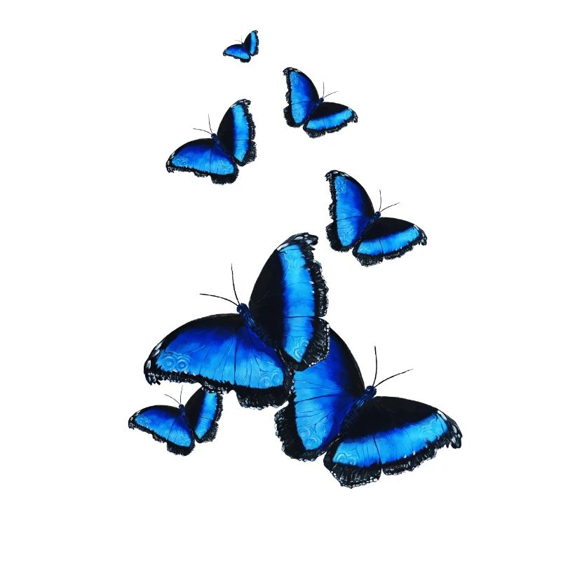 Papillons dans l'icône idée cadeau estomac