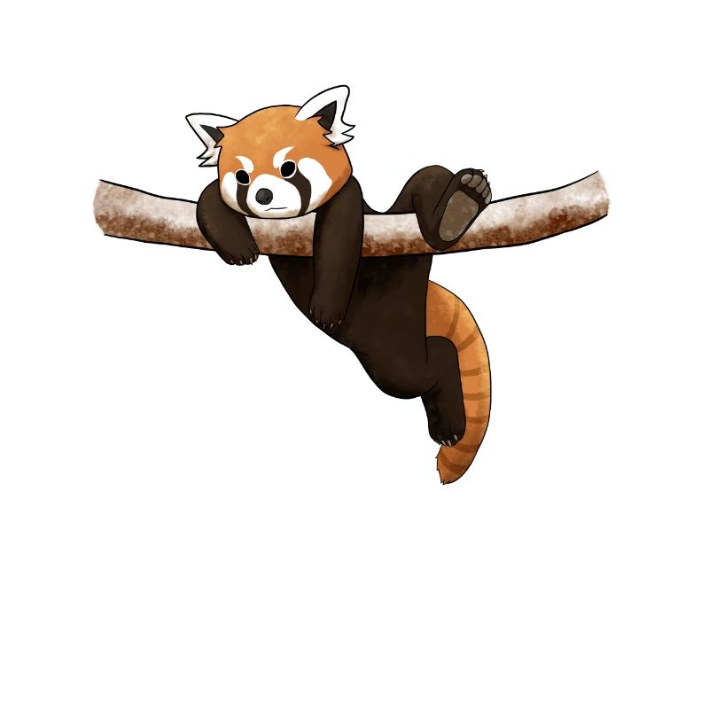 HimalajaKatzenbär oder Styans Kleiner Panda