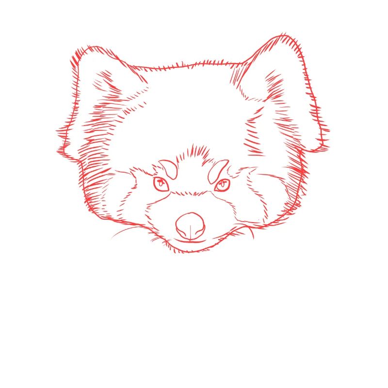 Roter Panda