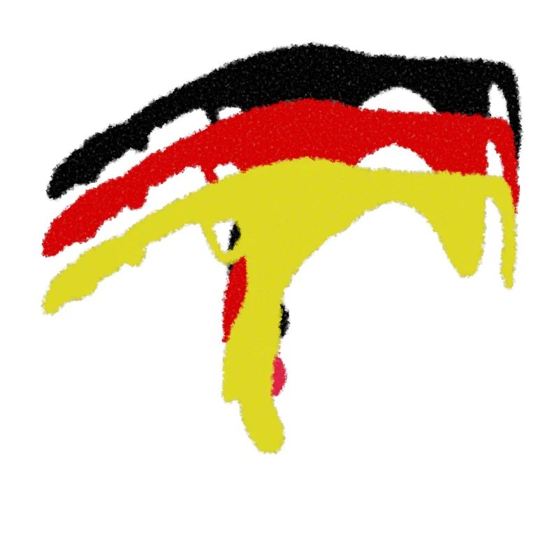 Sylt German flag