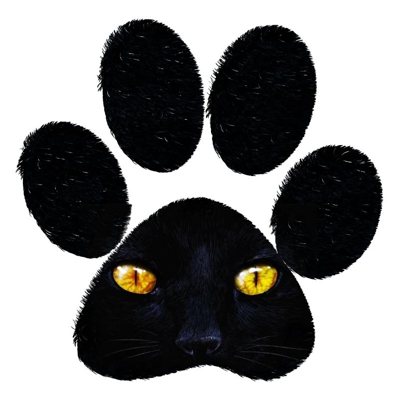 Patte de chat
