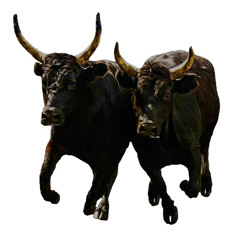 duo toro