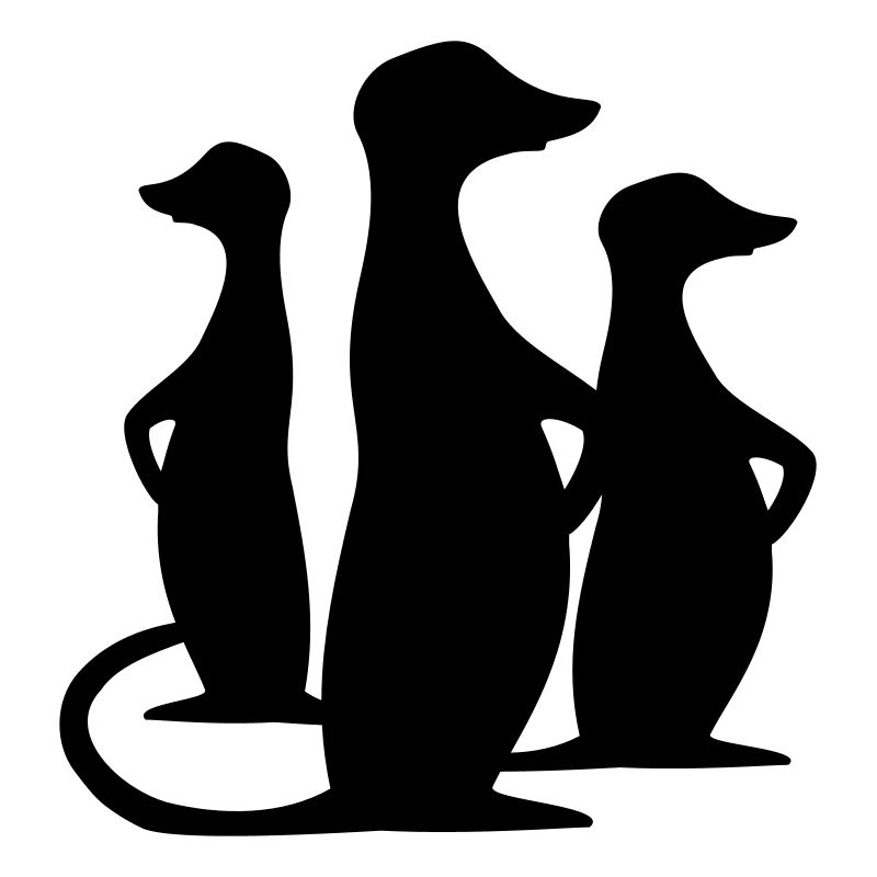 erdmännchen