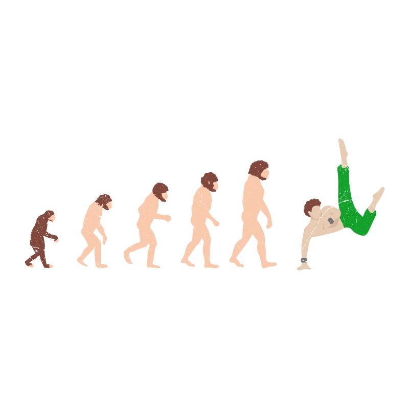 Capoeira Evolution Idée cadeau drôle