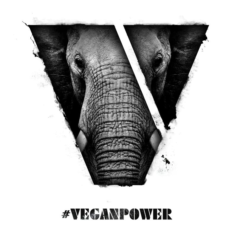 #VeganPower - Elefant