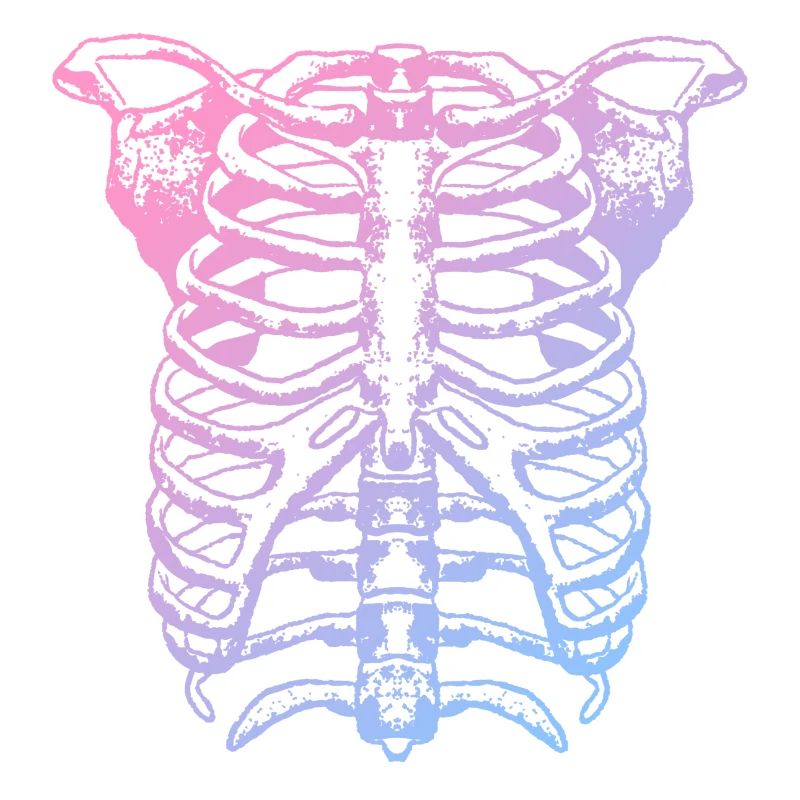 Skeleton
