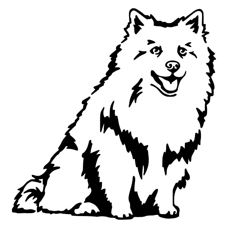 German Spitz