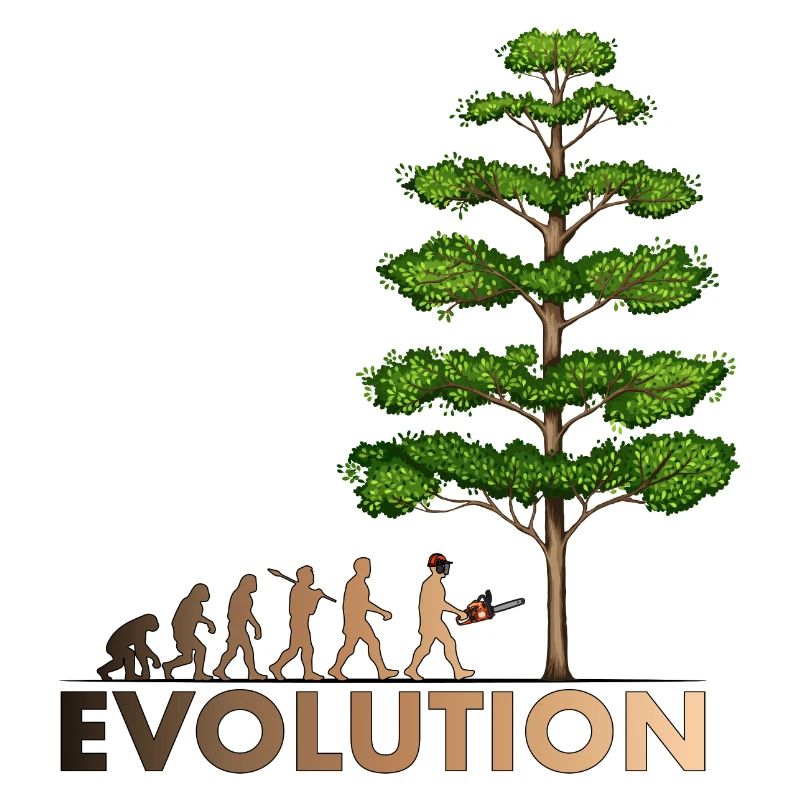 Kettensäge Evolution Farbe Big Tree