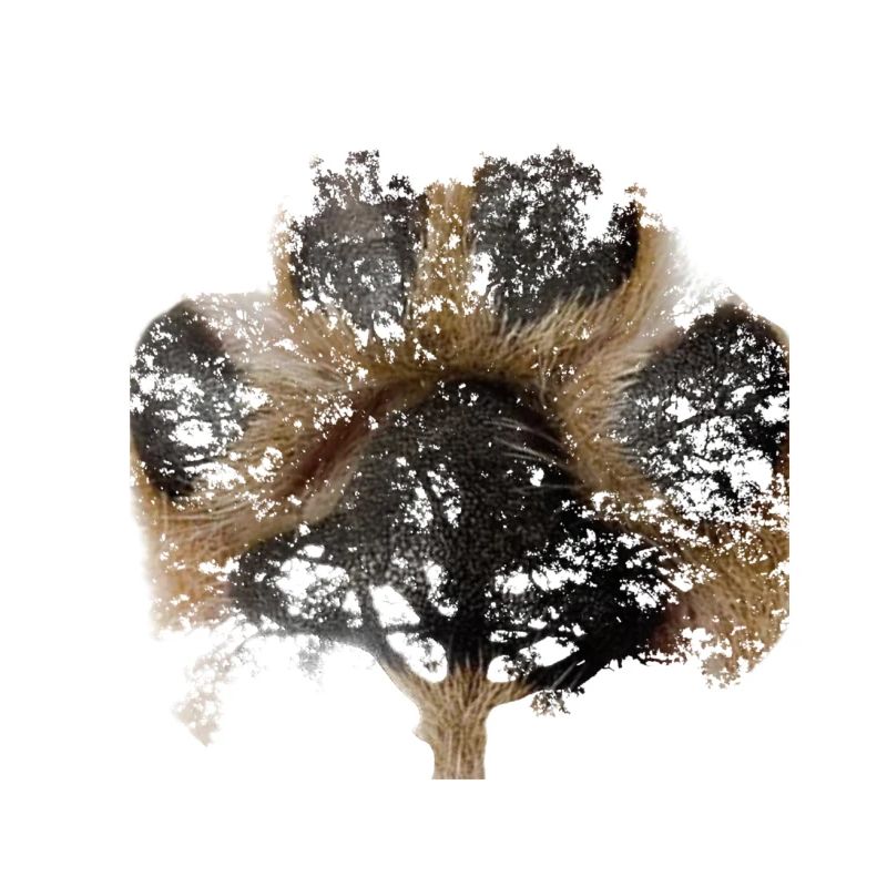 baum des lebens