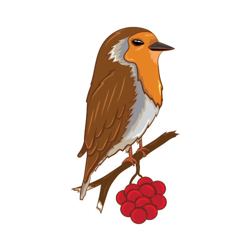 Rotkehlchen Baum Vögel Vogel Tier Geschenk