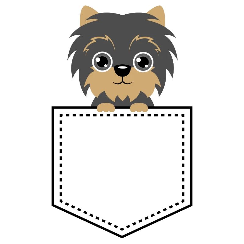 Taschentier Yorkshire Terrier