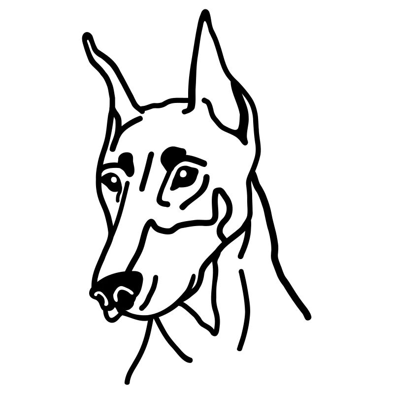 Doberman
