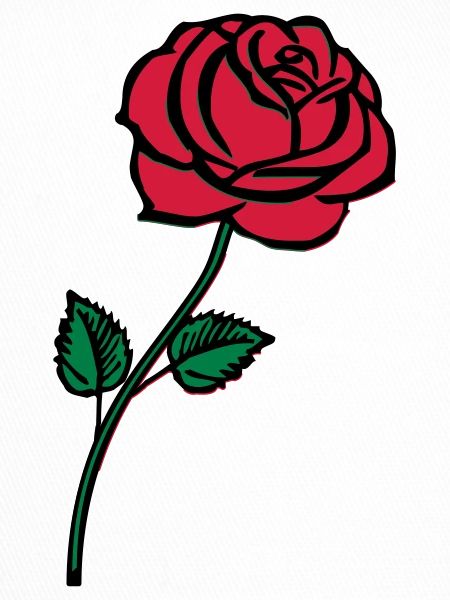 rose_002
