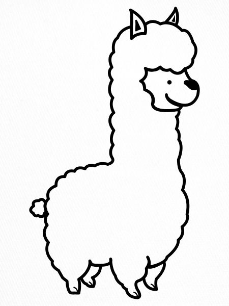 Alpaka