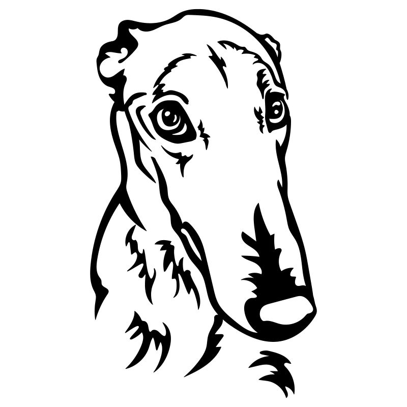 Greyhound Kopf