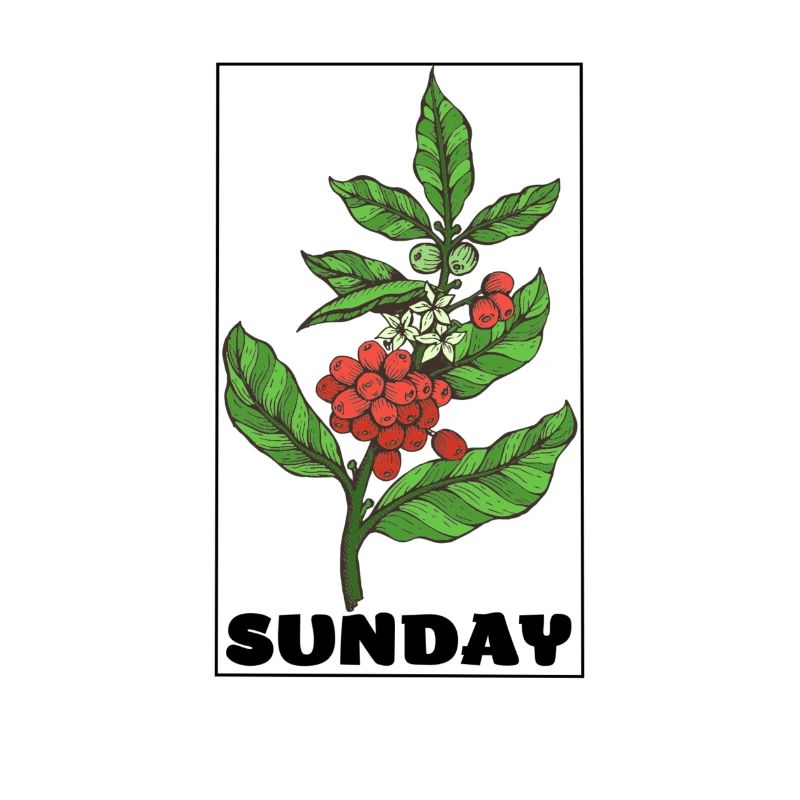 SUNDAY