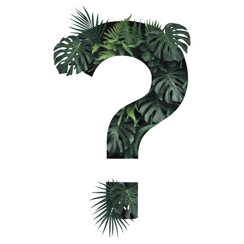 Plantes tropicales vertes Point d’interrogation jungle