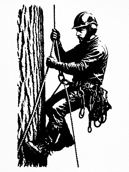 Arborist/Baumkletterer (Schwarze Silhouette)