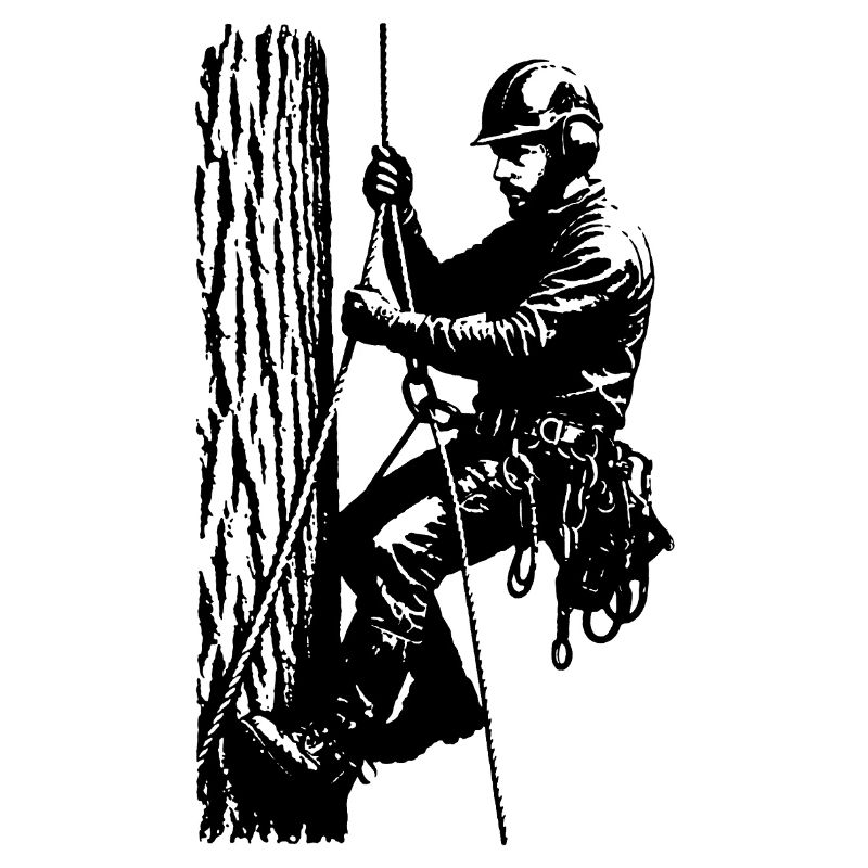 Arborist/Baumkletterer (Schwarze Silhouette)