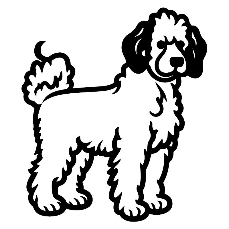 Poodle Hund