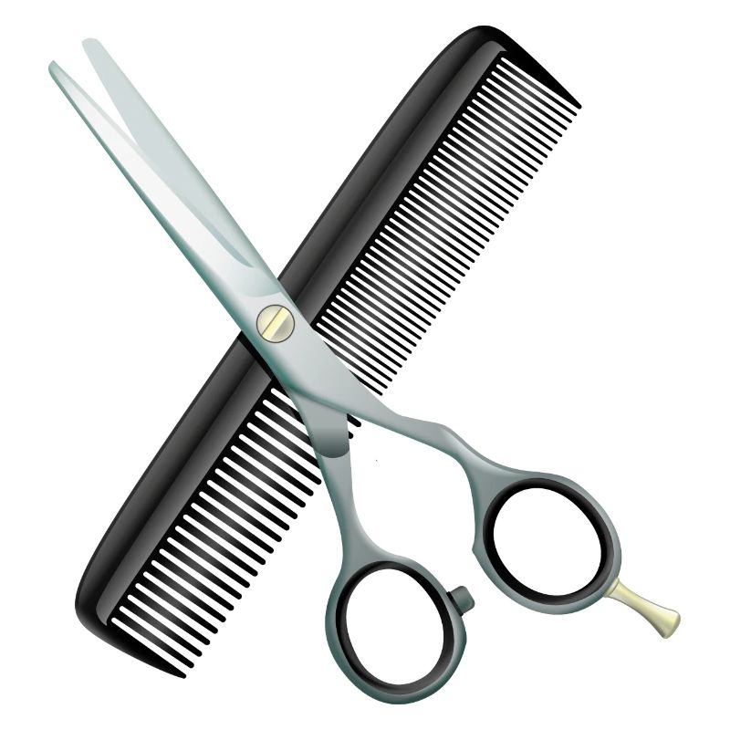 Ciseaux de coiffure avec peigne