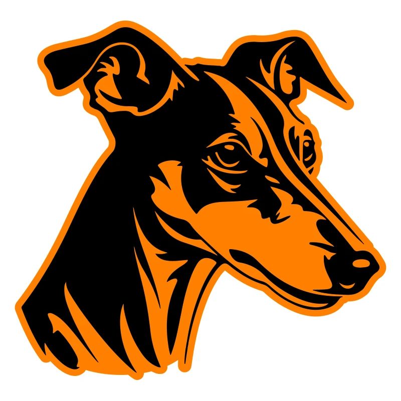 Greyhound Hund Kopf