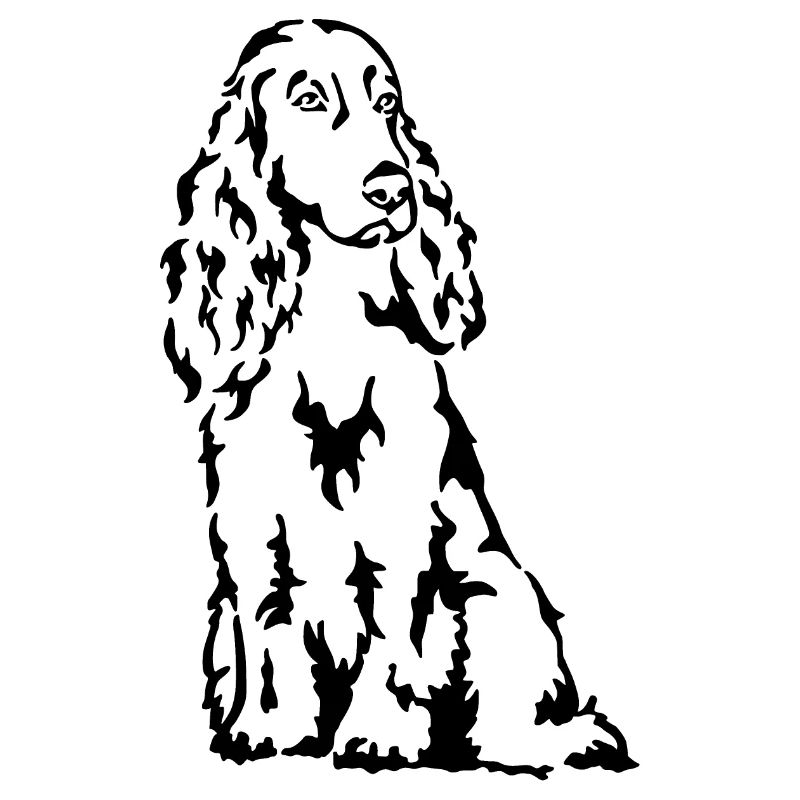 Field Spaniel