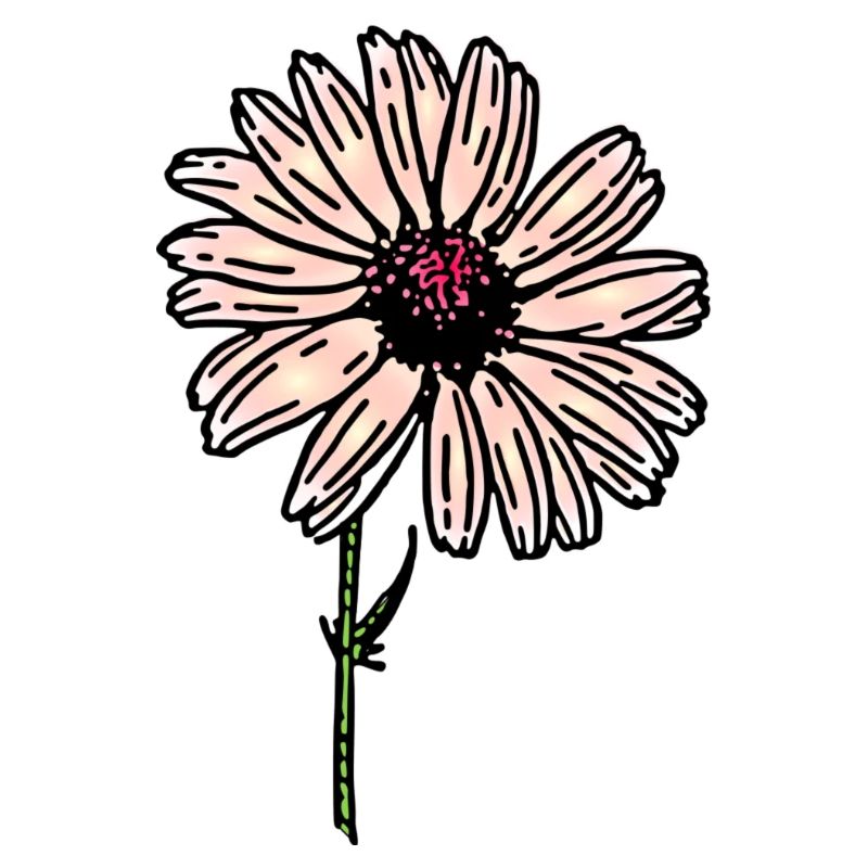 Blume