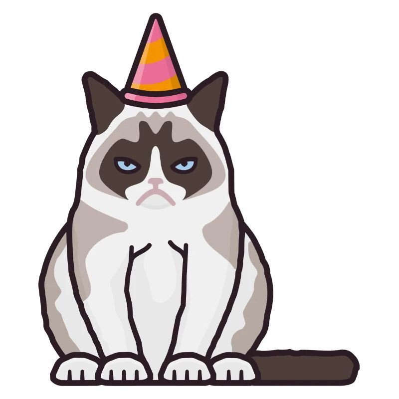 Grumpy, grim cat with party hat