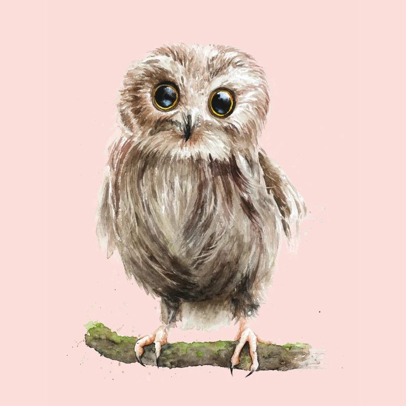 eule