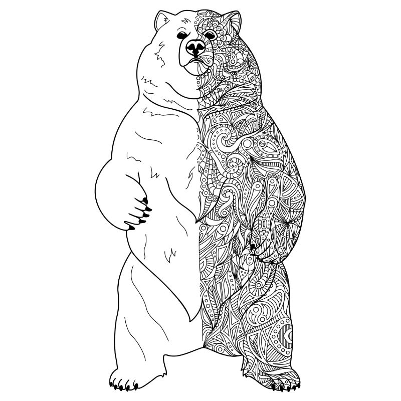 Bär