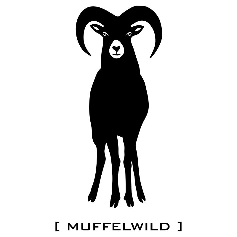 Schaf Wildschaf Muffel Muffelwild Wild Widder tier