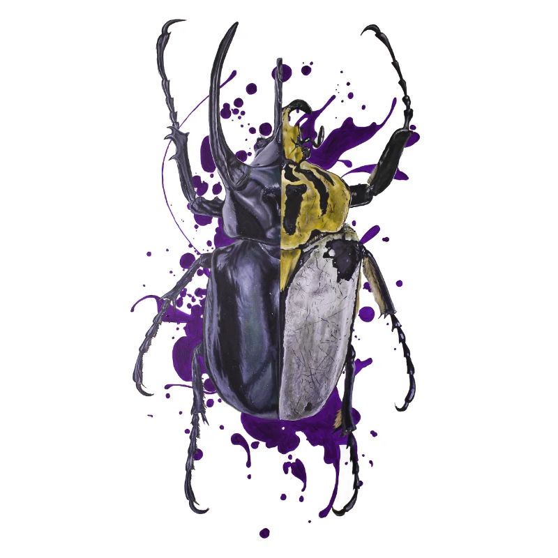 Coleoptera Käferkäfer Insekt