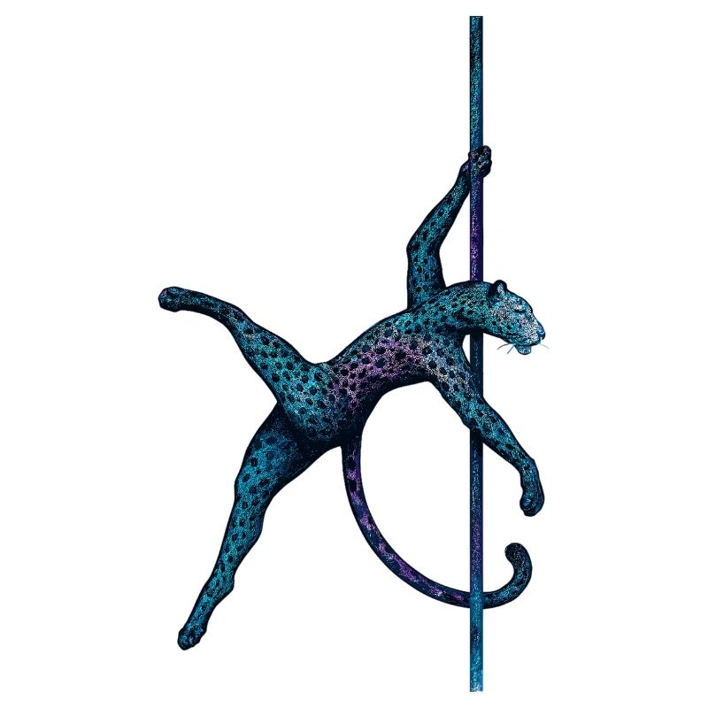 Pole Dance Leopardin Poledancerin Stange Geschenk