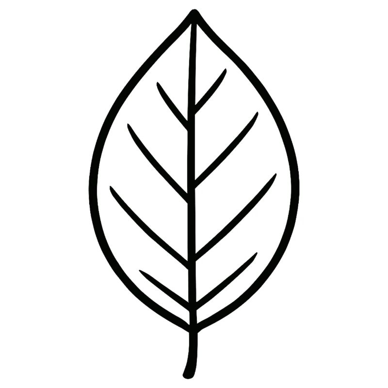 Conception à lignes de feuilles noires
