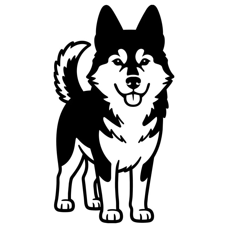 Husky-Hund