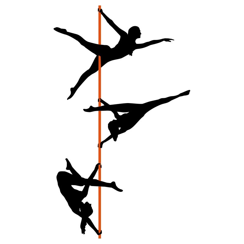 Pole Dance, Poledance