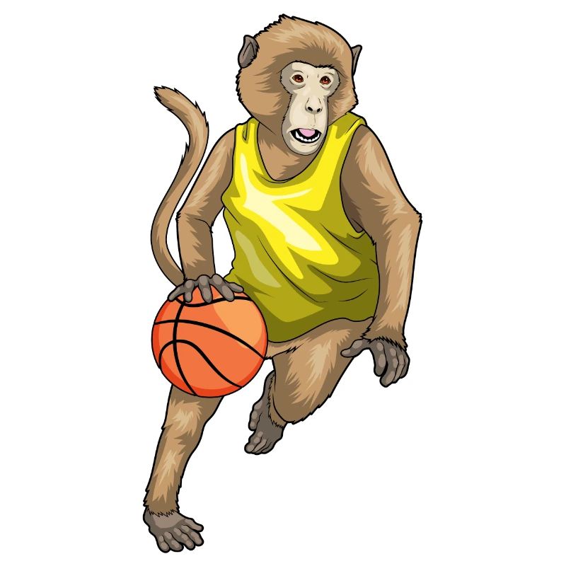 Singe Basketteur Basketteur