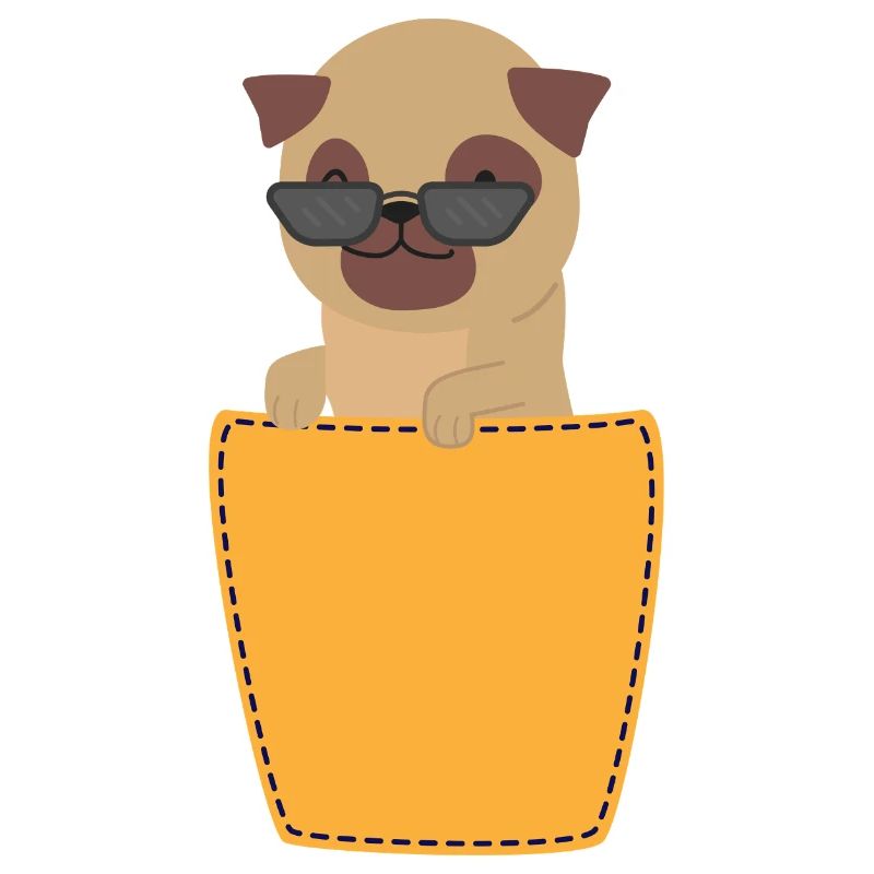 Mops mit Sonnenbrille in Brusttasche