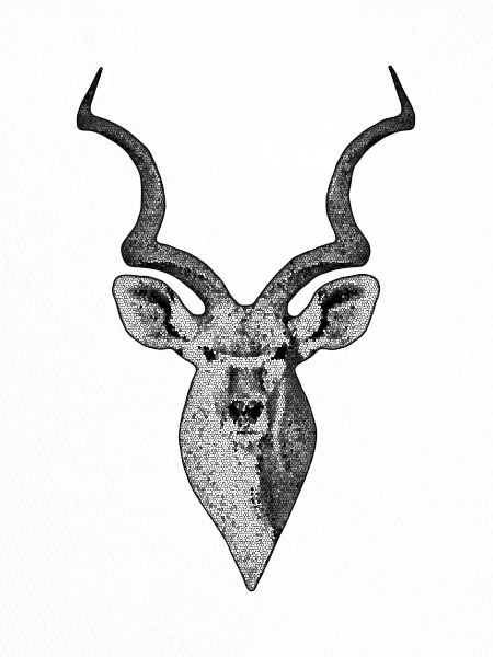 Kudu