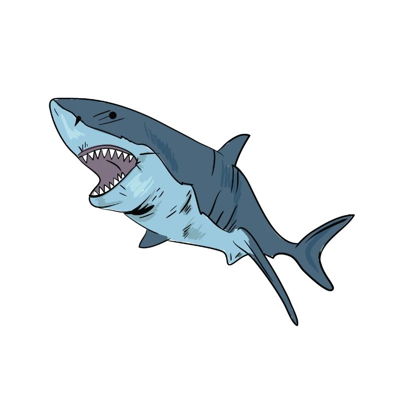 Requin requin