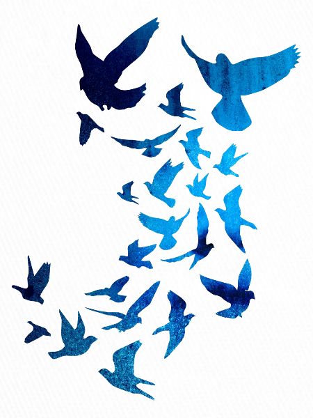 tauben,taube,vögel,vogelschwarm,bunt,graffiti,