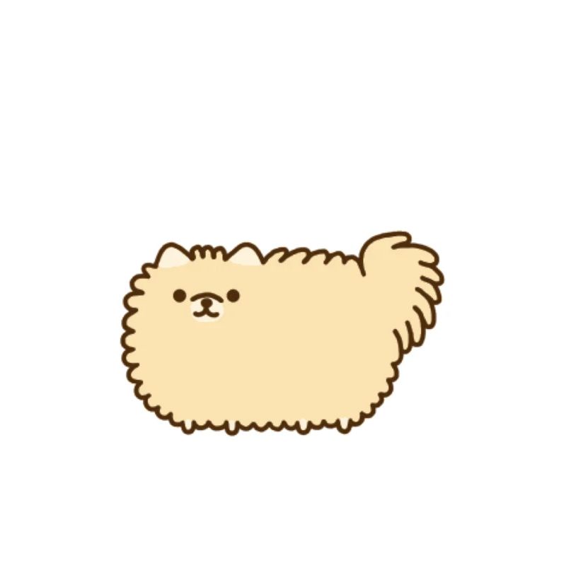 doux chat, chien