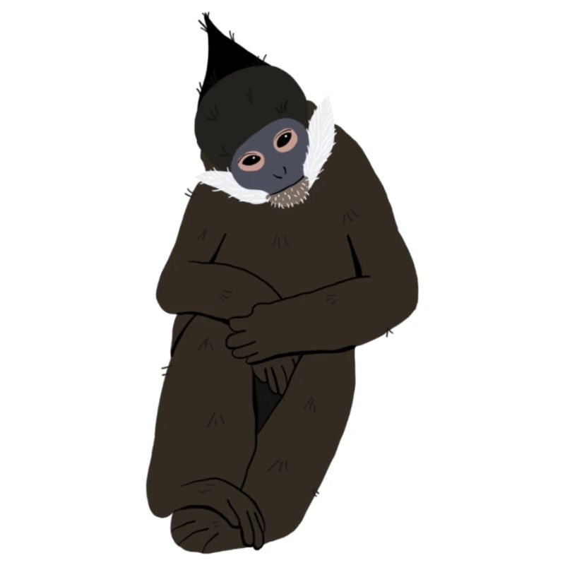 Langur by Francis