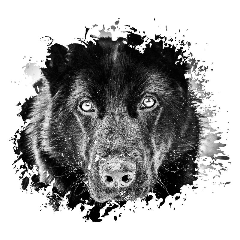 Schäferhund