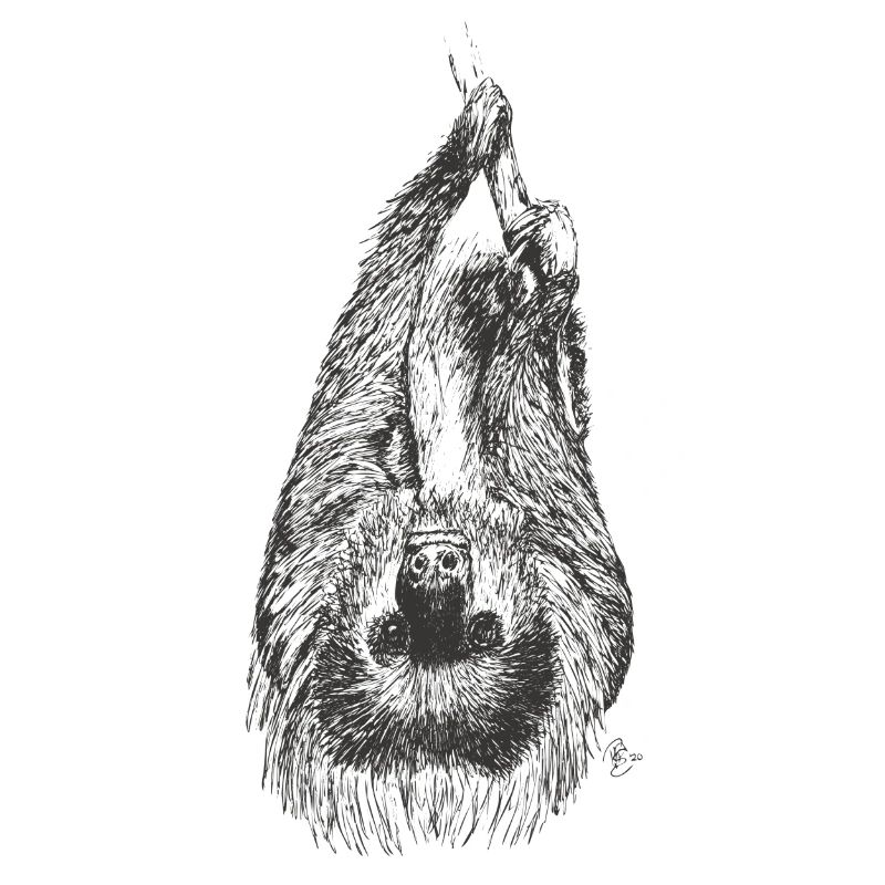 Sloth