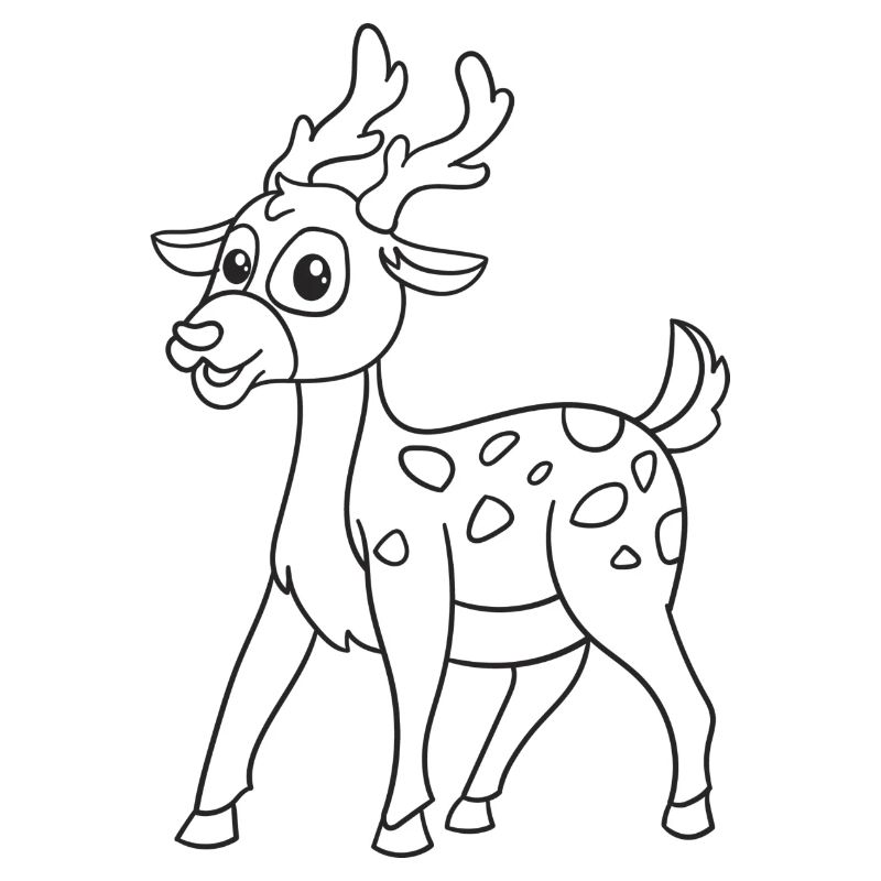 Roe deer, deer, deer, gift