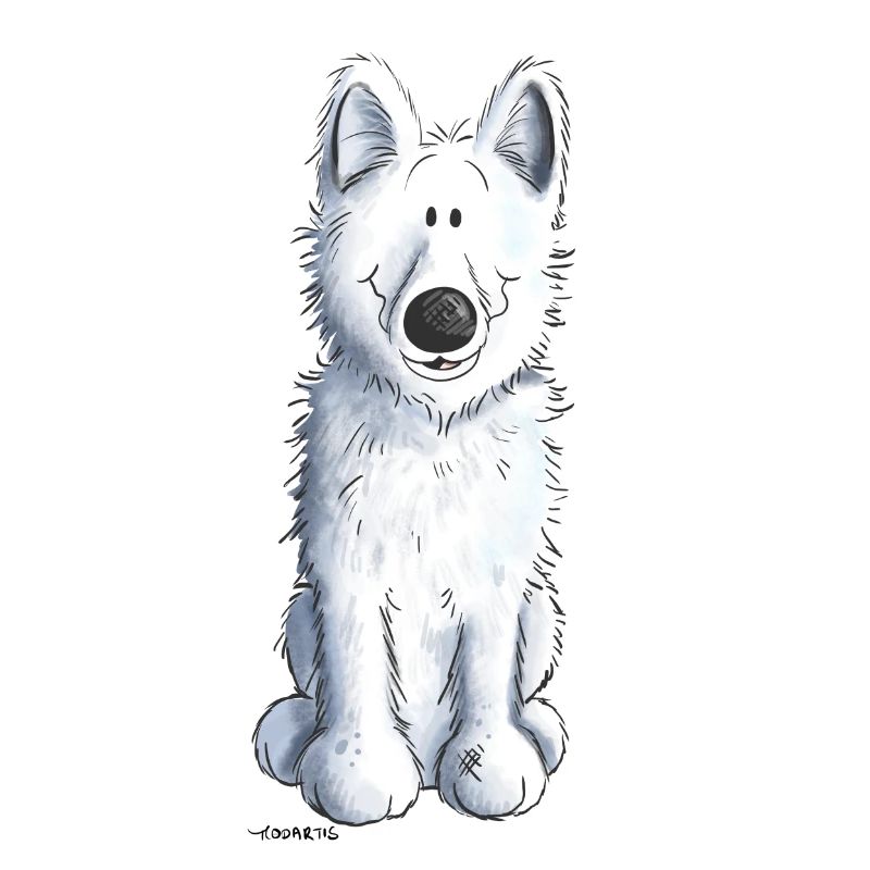 Schweizer Schäferhund