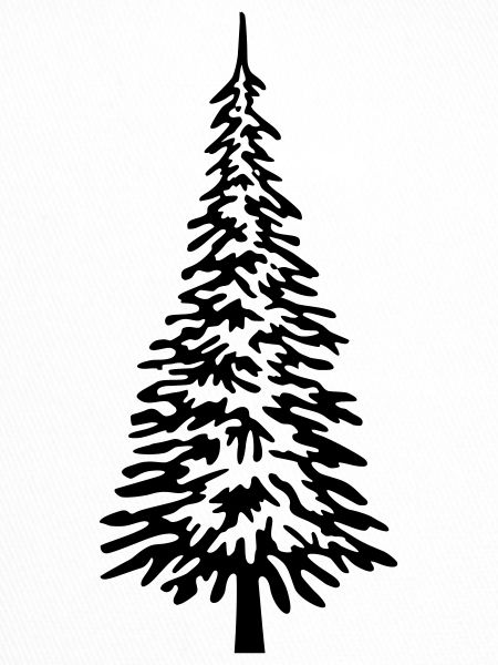 Christmas tree full
