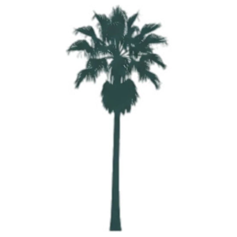 Conception de palmier tropical
